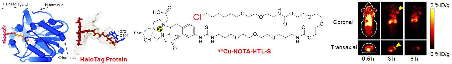 Figure 21